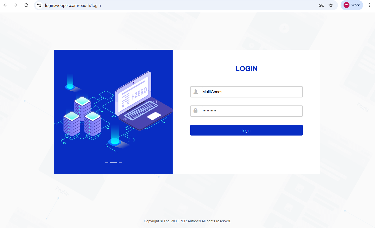 Login Steps screen in the CSG Customer Portal
